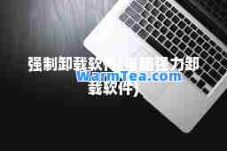 强制卸载软件(电脑强力卸载软件)