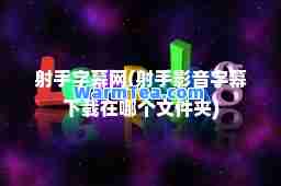 射手字幕网(射手影音字幕下载在哪个文件夹)