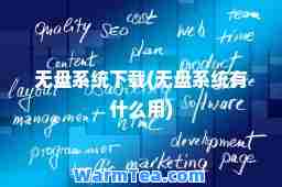 无盘系统下载(无盘系统有什么用)