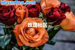 玫瑰社区