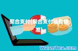 聚支付(聚支付收费标准)