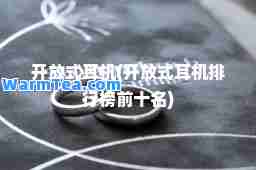 开放式耳机(开放式耳机排行榜前十名)
