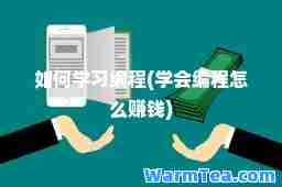 如何学习编程(学会编程怎么赚钱)