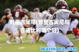 普里吉奥尼(普里吉奥尼与吉诺比利哪个好)