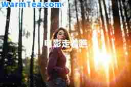 电影走着瞧