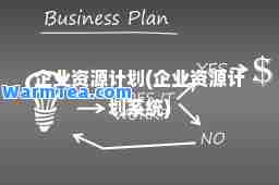 企业资源计划(企业资源计划系统)
