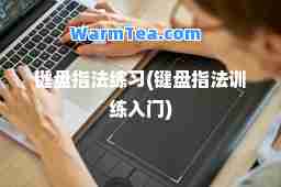 键盘指法练习(键盘指法训练入门) 键盘指法练习(键盘指法训练入门)