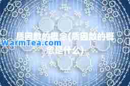 质因数的概念(质因数的概念是什么)