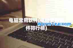 电脑常用软件(电脑常用软件排行榜)
