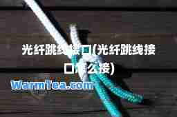 光纤跳线接口(光纤跳线接口怎么接)