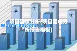 项目需求分析(项目需求分析报告模板)
