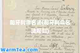 匈牙利名法(匈牙利名法规则)