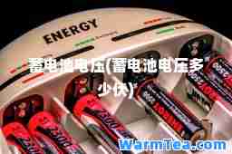 蓄电池电压(蓄电池电压多少伏)