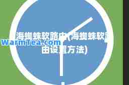 海蜘蛛软路由(海蜘蛛软路由设置方法)