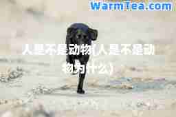 人是不是动物(人是不是动物为什么)