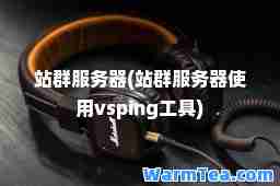站群服务器(站群服务器使用vsping工具)