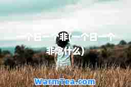 一个日一个非(一个日一个非念什么)