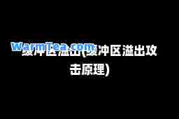 缓冲区溢出(缓冲区溢出攻击原理)