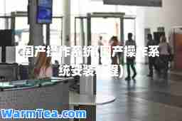 国产操作系统(国产操作系统安装教程)