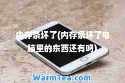 内存条坏了(内存条坏了电脑里的东西还有吗)