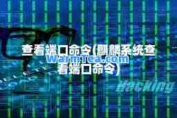查看端口令(麒麟系统查看端口令)