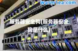 服务器安全狗(服务器安全狗是什么)