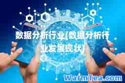 数据分析行业(数据分析行业发展现状) 数据分析行业(数据分析行业发展现状)