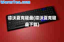 德沃夏克键盘(德沃夏克键盘下载)