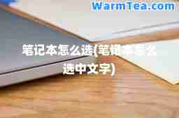 笔记本怎么选(笔记本怎么选中文字)