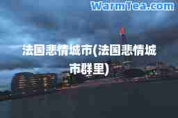 法国悲情城市(法国悲情城市群里)
