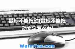鼠标不能拖动(鼠标不能拖动文字怎么办)