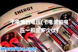 干电池的电压(干电池的电压一般是多少伏)