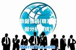 数据营销(营销数据分析系统)