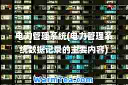 电力管理系统(电力管理系统数据记录的主要内容)