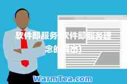 软件即服务(软件即服务理念的提出)