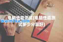 电脑性能测试(电脑性能测试多少分算好)