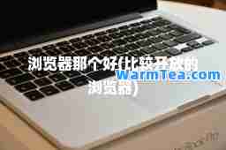 浏览器那个好(比较开放的浏览器)