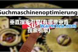 垂直搜索引擎(有哪些垂直搜索引擎)