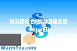 旅游团报名(旅游团报名哪个app好)