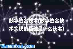 数字签名技术(数字签名技术实现的基础是什么技术)