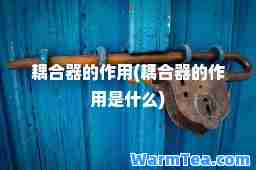耦器的作用(耦器的作用是什么)