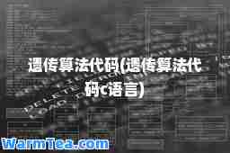 遗传算法代码(遗传算法代码c语言)