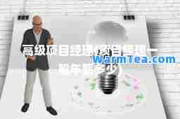 高级项目经理(项目经理一般年薪多少)