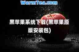 黑苹果系统下载(黑苹果原版安装包)