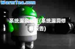 系统漏洞修复(系统漏洞修复报告)