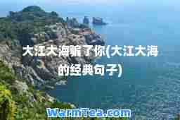 大江大海骗了你(大江大海的经典句子)