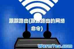 跟踪路由(跟踪路由的网络令)