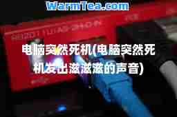 电脑突然死机(电脑突然死机发出滋滋滋的声音)