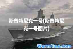 斯普特尼克一号(斯普特尼克一号图片)