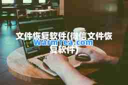 文件恢复软件(微信文件恢复软件)